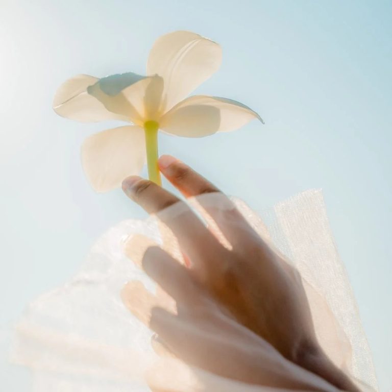 Healing Roots: Inner Child Therapy in Texas and Beyond