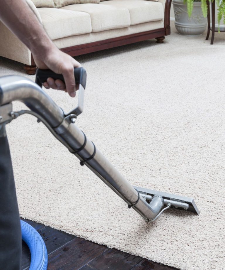 Choosing a carpet cleaner: practical tips for clean floors