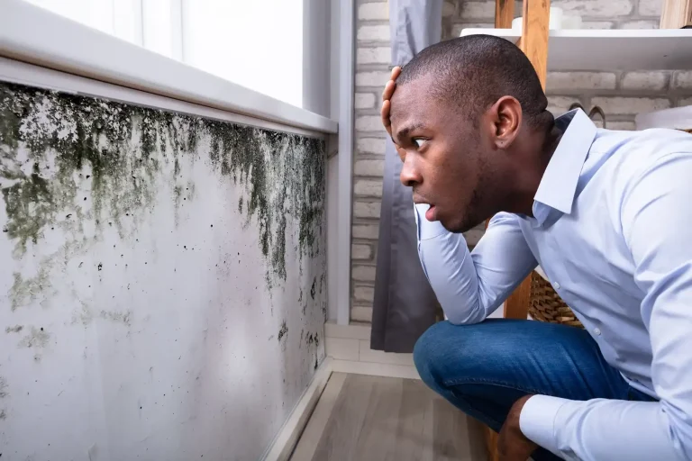 When Disaster Strikes: Real Talk on Fire and Sewage Cleanup Near You