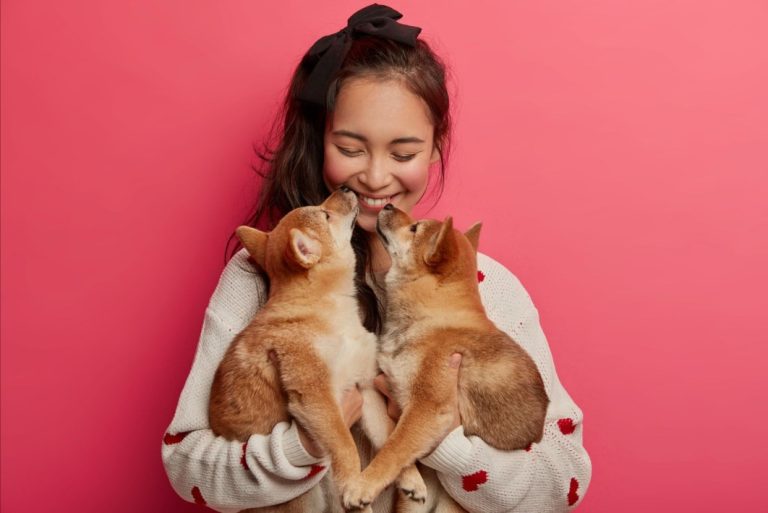 Finding Connection: A Real Cat Dating Site Guide