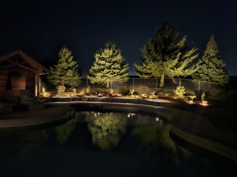 Smart turf choices for Kitchener yards that last