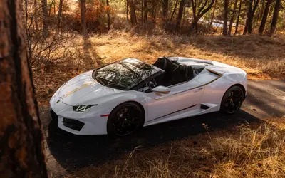 Drive the Dream: Luxury Car Rentals You’ll Remember Drive the Dream: Luxury Car Rentals You’ll Remember