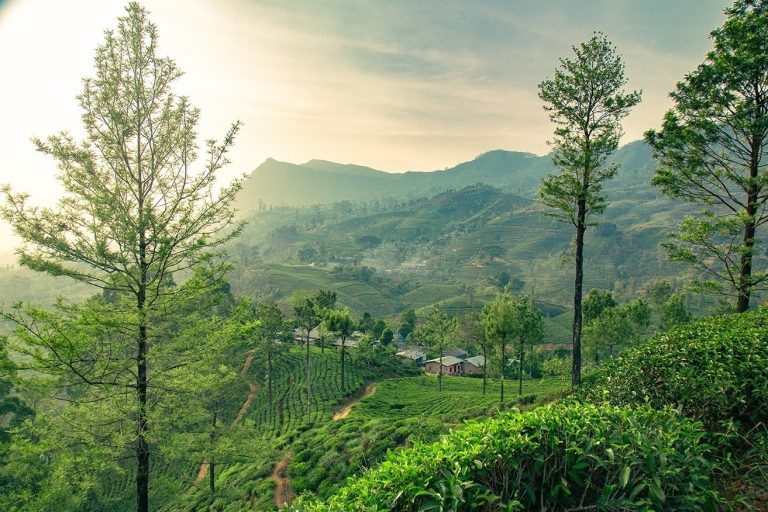 Sri Lanka Trip Planner advice from locals to wanderers Sri Lanka Trip Planner advice from locals to wanderers