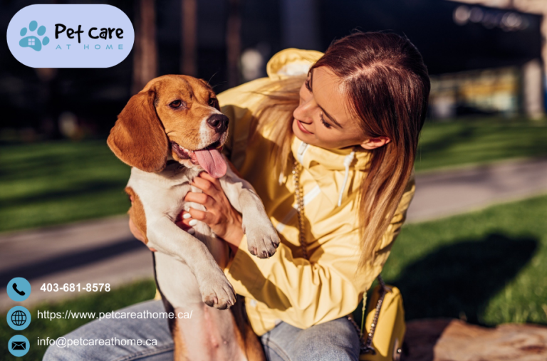 Compassionate end of life care for pets Compassionate end of life care for pets
