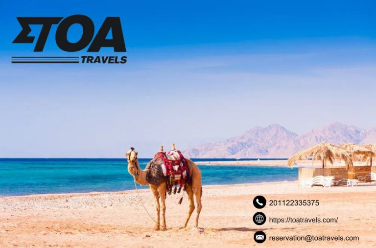 Reliable Private Transfer from Sphinx to the City and Beyond