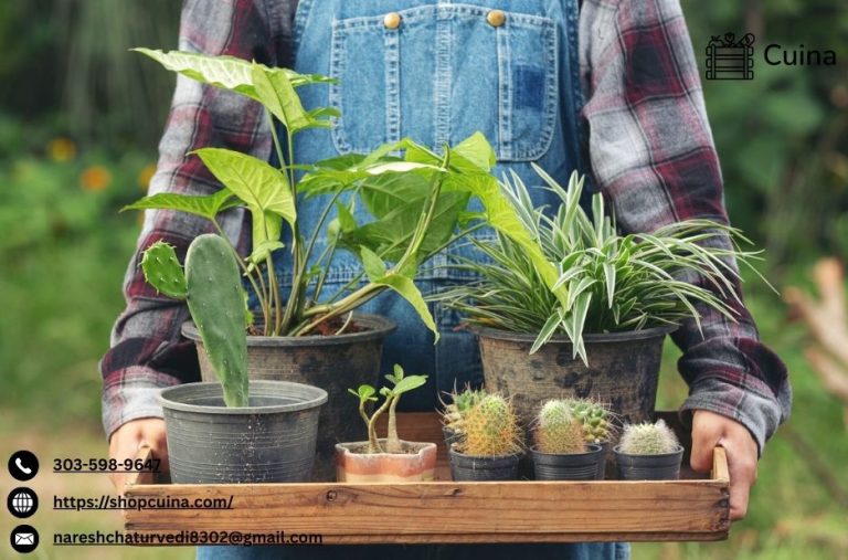 Discover a Trusted Platform for Small Farms to Thrive