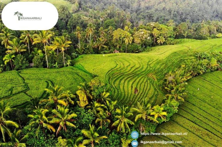 Discover Practical Bali Experiences with a Simple Booking Pakket Online