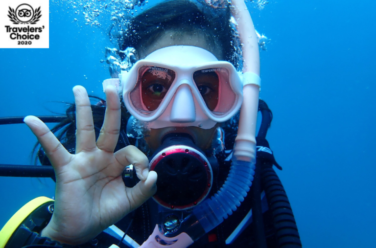 Discovering the Wonders of the Indian Ocean Side