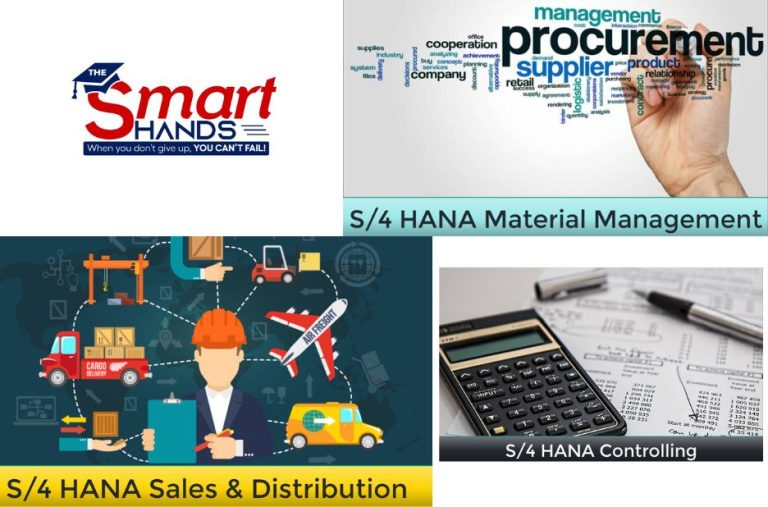 Elevate Your SAP S/4HANA Skills: Practical Training for Modern Professionals