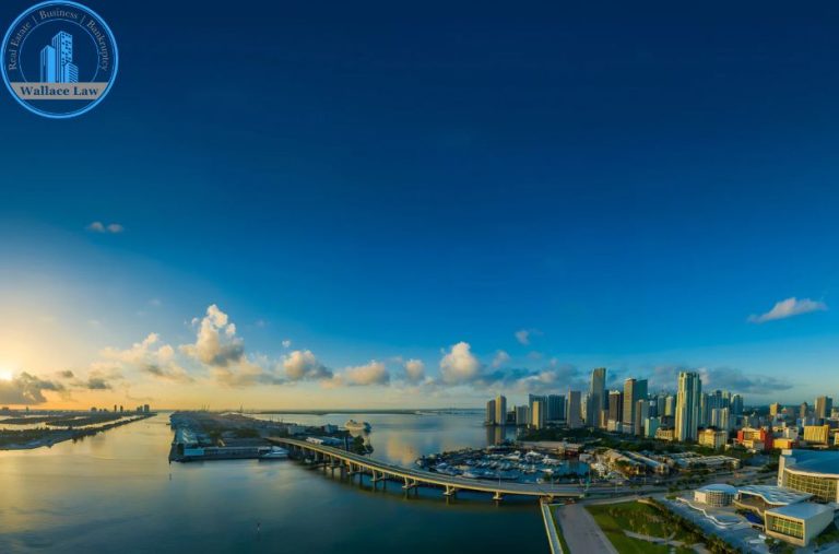 Practical guidance from a Florida business law expert Practical guidance from a Florida business law expert
