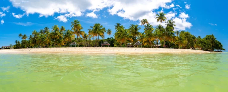 Smart Budget Tips for Hawaii Car Rentals