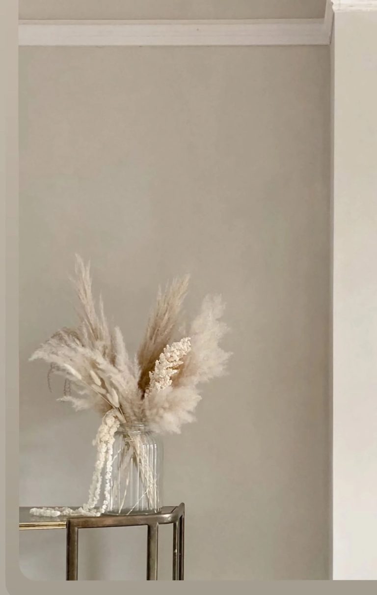 Wall Decorative Plaster in Los Angeles for Unique Interiors Wall Decorative Plaster in Los Angeles for Unique Interiors