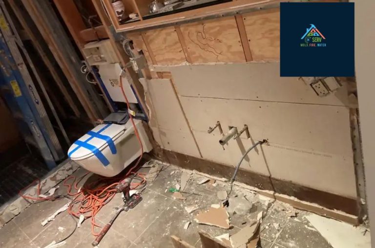 Reliable water damage services for homes and businesses