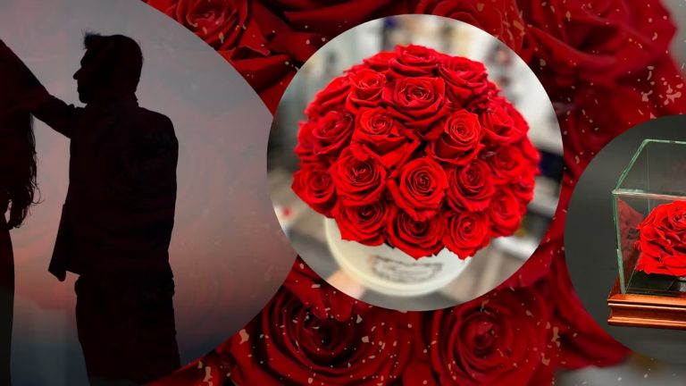 A Timeless Gift: Preserved Rose in Crystal Case