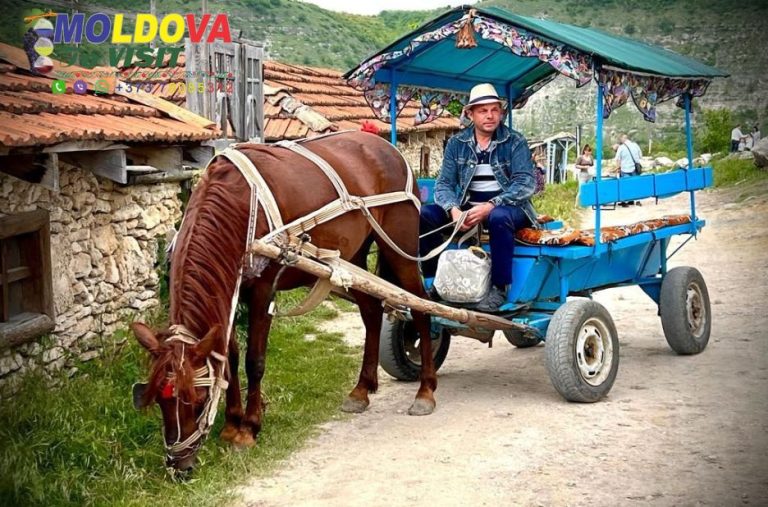 Discover Moldova: Culture, Nature, and History Tours