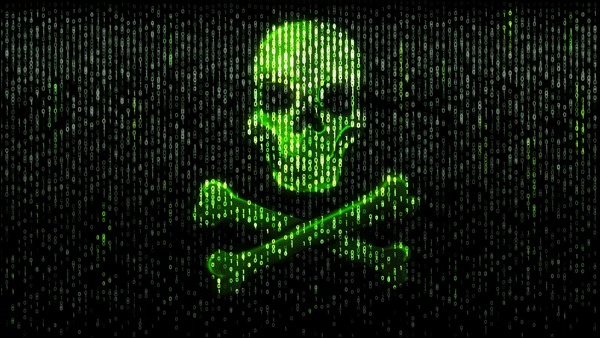 Trusted Florida Cybersecurity Experts for Hire Trusted Florida Cybersecurity Experts for Hire