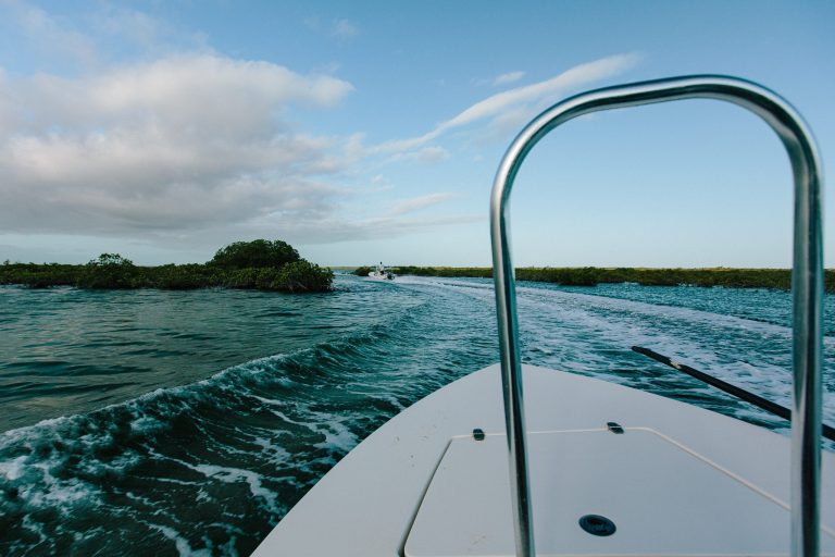Chasing Bahamian Bonefish: A Guide to Flats Fly Fishing Chasing Bahamian Bonefish: A Guide to Flats Fly Fishing