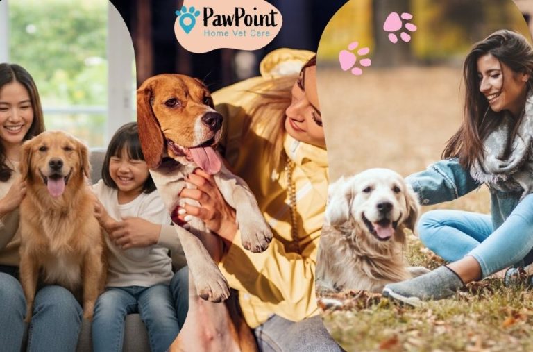 Compassionate End-of-Life Care Options in Calgary for Pets Compassionate End-of-Life Care Options in Calgary for Pets