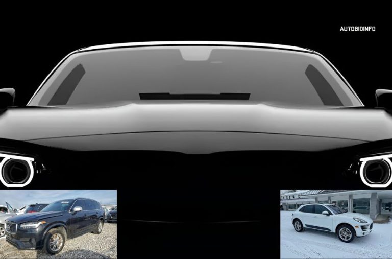 Practical Guide to Salvage Title Cars in Europe