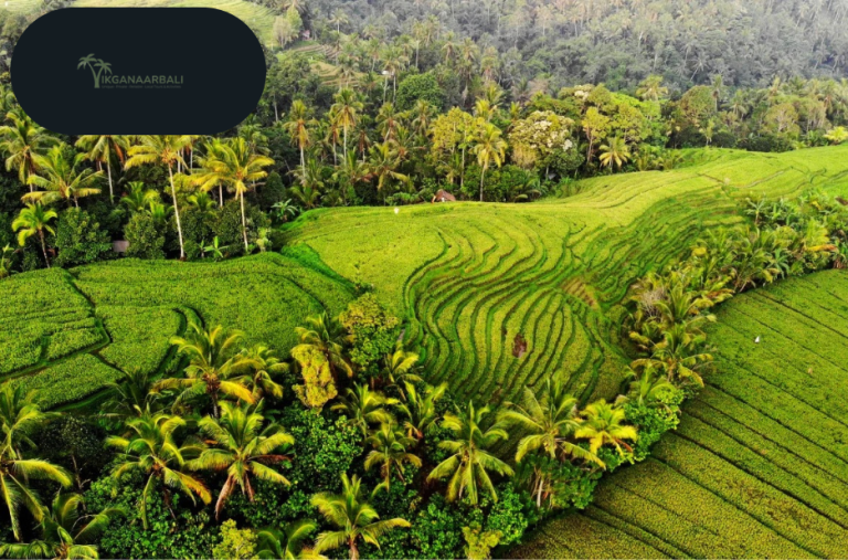 Discover Local Bali Tours and Island Excursions