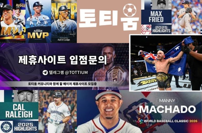 전문가가 추천하는 국내 축구 경기 분석 커뮤니티 탐구 전문가가 추천하는 국내 축구 경기 분석 커뮤니티 탐구