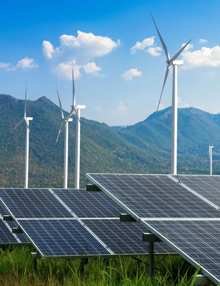 Expert Solar Installations for Homes and Businesses Expert Solar Installations for Homes and Businesses