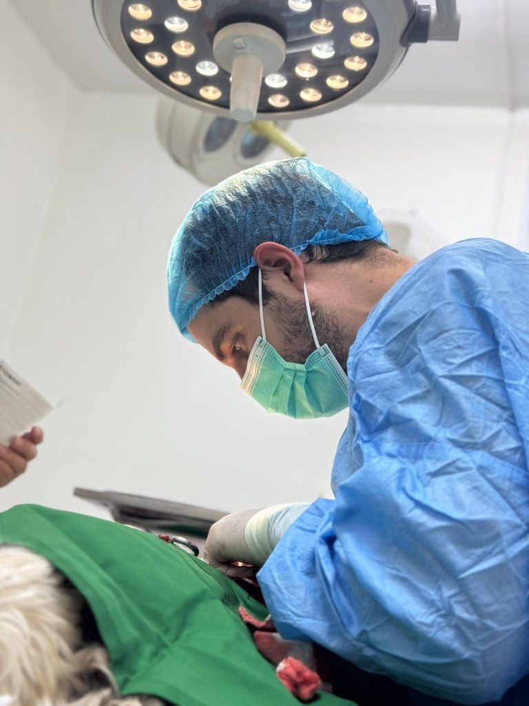 Affordable Veterinary Care Options in Qatar for Pet Owners Affordable Veterinary Care Options in Qatar for Pet Owners