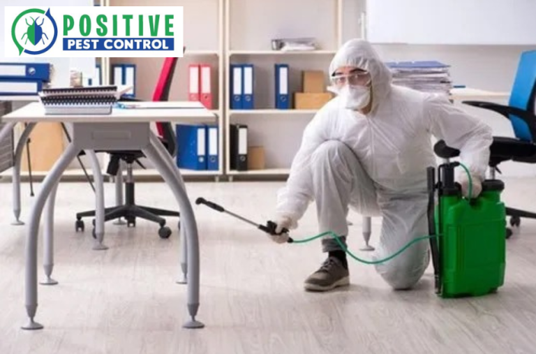 Reliable pest control solutions for Calgary homes