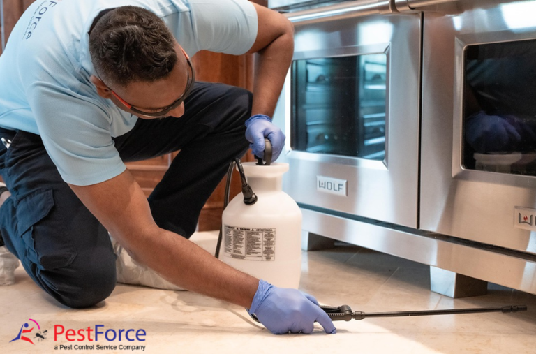 Effective strategies for Calgary pest management