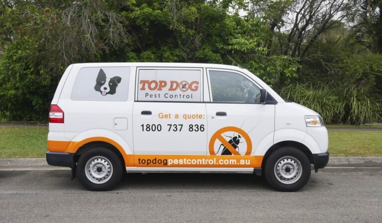 Effective termite barriers on the Gold Coast for lasting protection Effective termite barriers on the Gold Coast for lasting protection