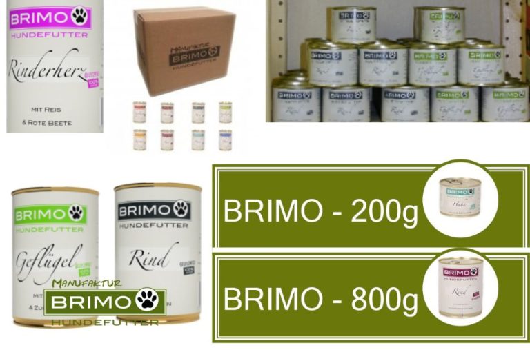 So finden Sie das perfekte Trocken- oder Nassfutter für Ihren Vierbeiner