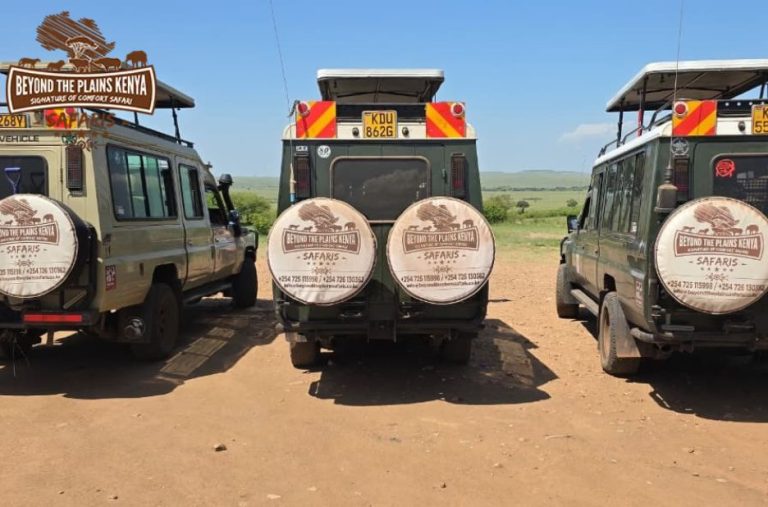 Classic Kenya Wildlife Journeys: A Memorable Safari Experience