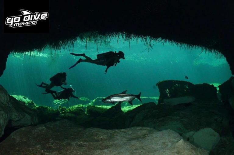 Exploring Tulum’s Underground Realms: A Diver’s Guide