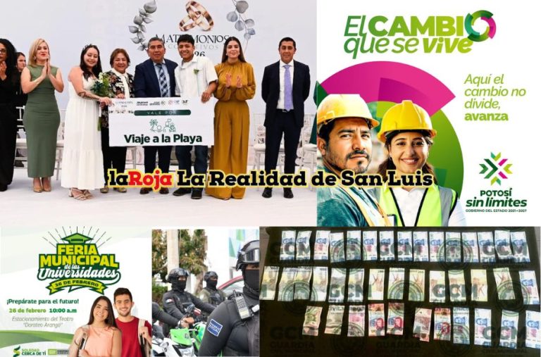 Plan informativo claro y práctico para lectores curiosos