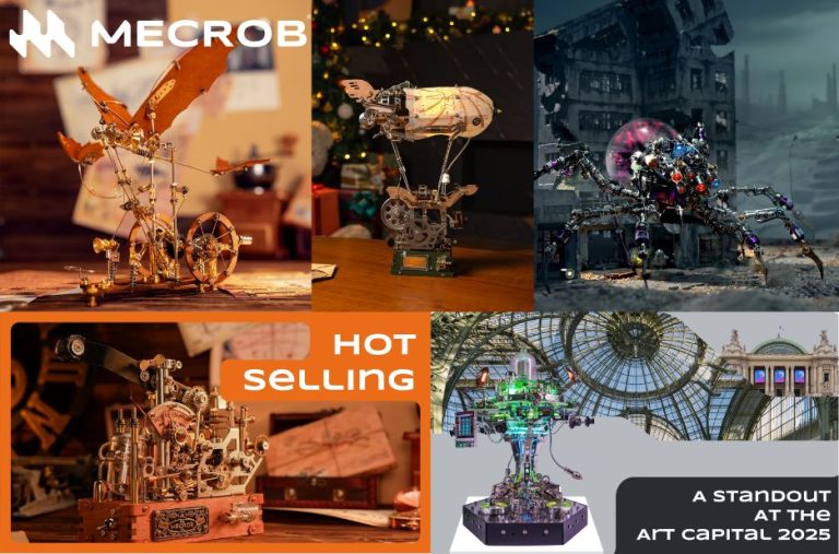 Metal Puzzles packed with clever engineering for adults Metal Puzzles packed with clever engineering for adults