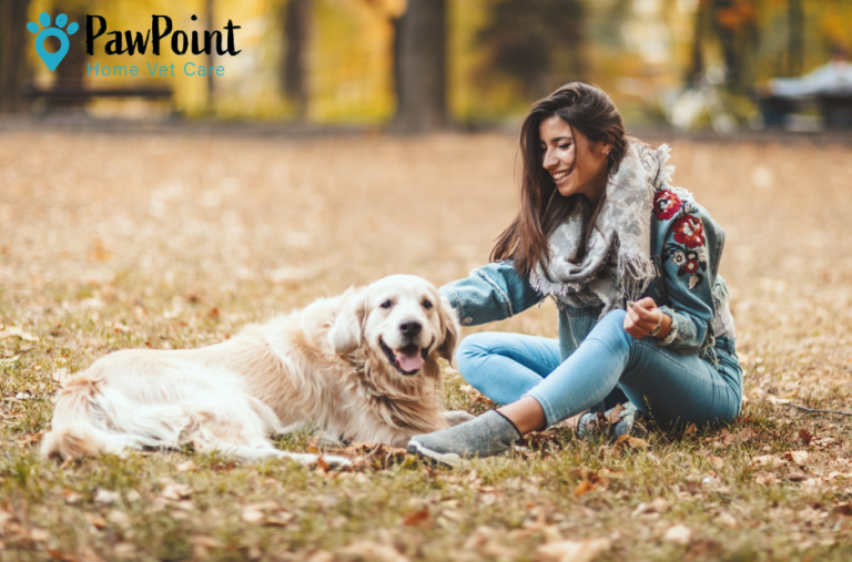 Compassionate End-of-Life Care for Your Pet in Calgary
