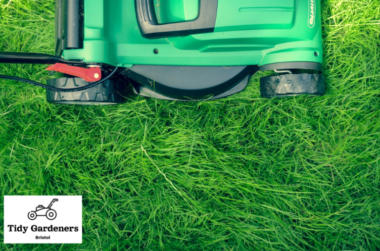 Reliable same day grass cutting in Bristol and beyond Reliable same day grass cutting in Bristol and beyond