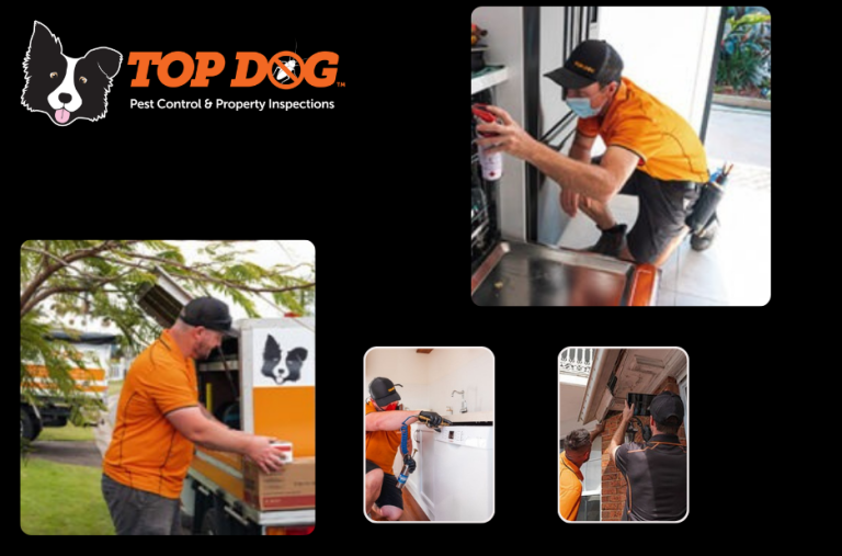 Reliable Residential Pest Control on the Gold Coast Reliable Residential Pest Control on the Gold Coast
