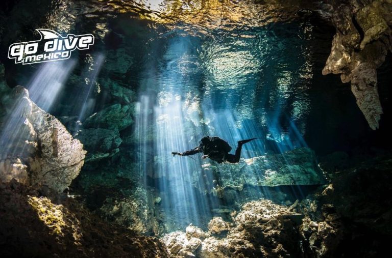 Discover Tulum’s Underwater World: A Visual Guide to Coastal and Cenote Diving