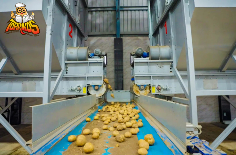 Choosing the Right Potato Processing Setup for Indian Markets
