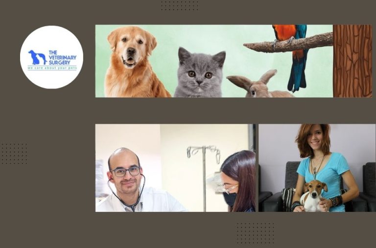 Expert Pet Vet Care Qatar for Healthy and Happy Pets