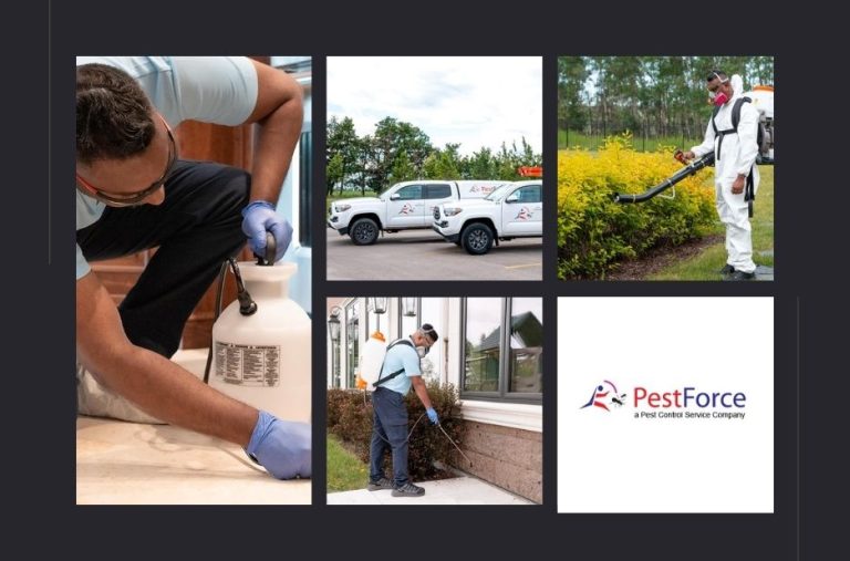 Top Pest Control Services Calgary for Effective Home and Business Protection