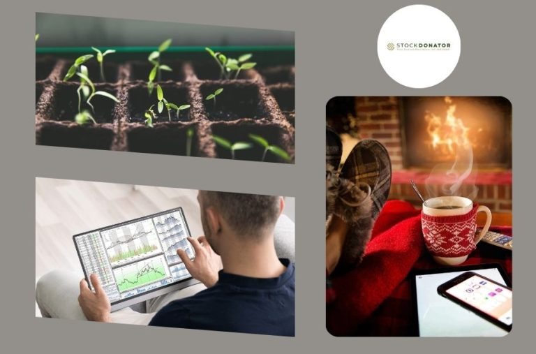 Embrace Stock Donations: Simple Ways to Give and Grow Your Impact