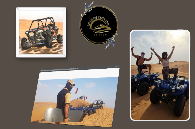 Extreme Buggy Safari: Off-Road Thrills in the Wild