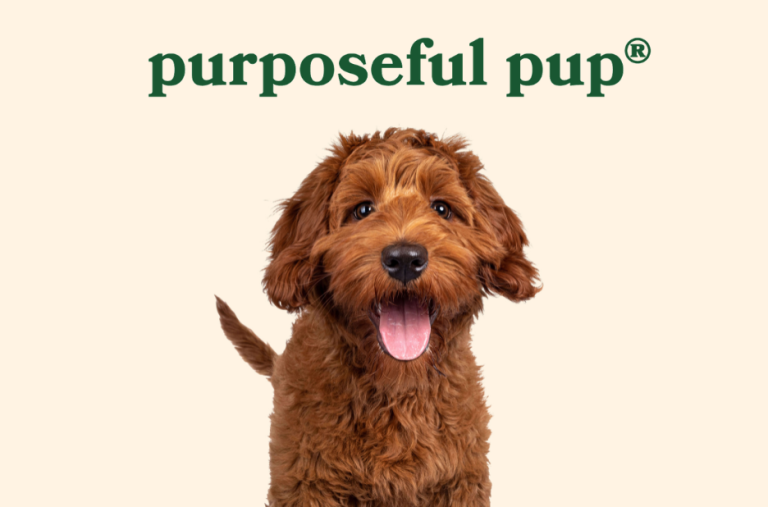 Healthy Treats for Allergy Prone Dogs: Safe and Nutritious Snack Ideas