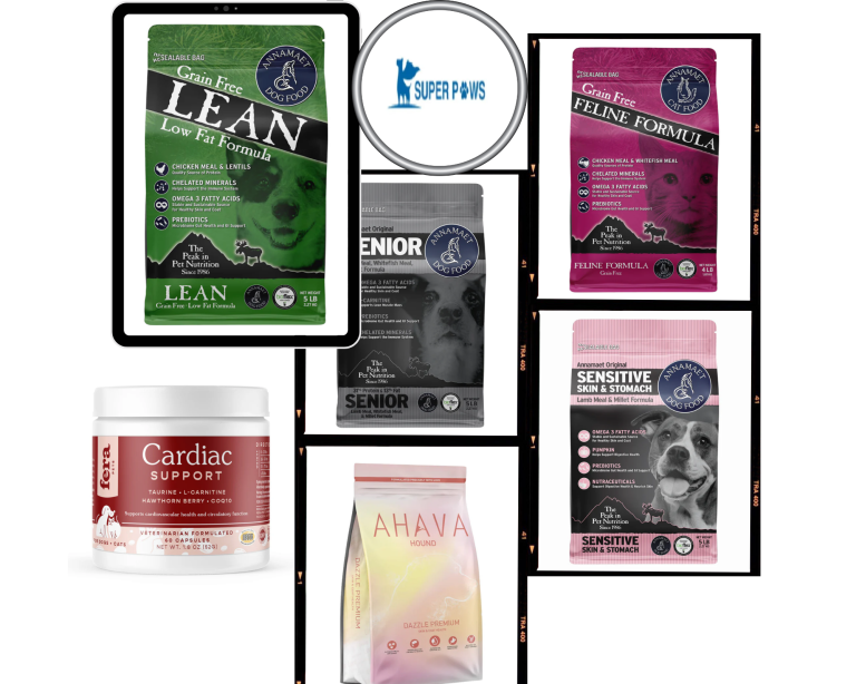 Holistic Pet Wellness: Nurturing Body, Mind and Home
