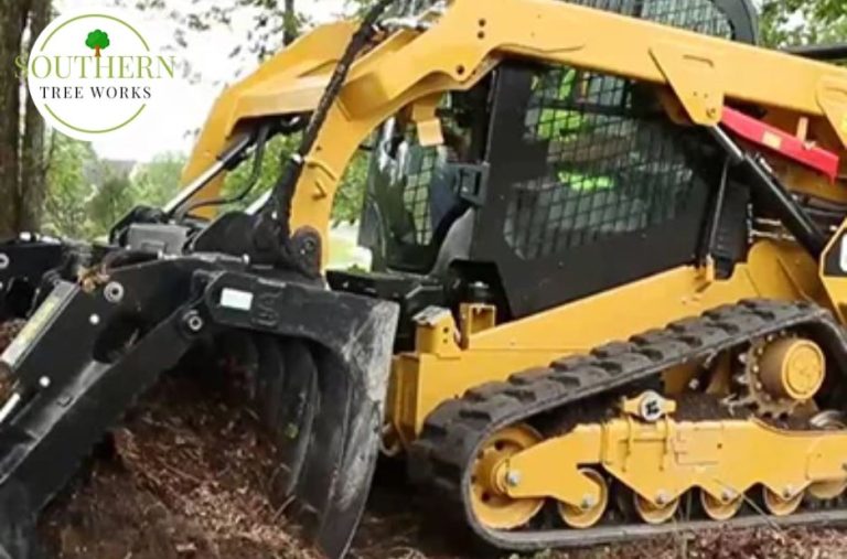 Reliable Tree Care for Dothan Homes and Properties