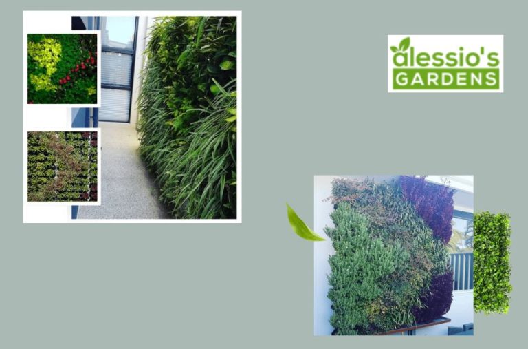 Smart choices for a lush poolside garden