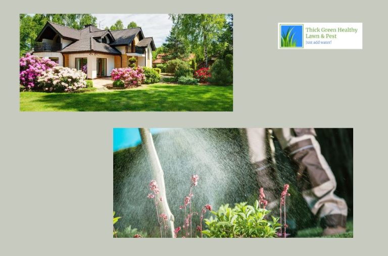 Trusted Green Care for Your Lawn This Season