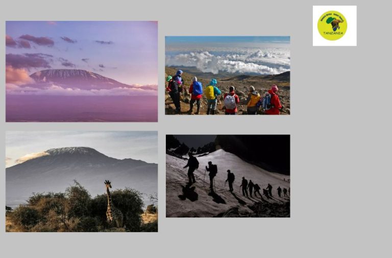 Discover Kilimanjaro treks and safe trekking holidays